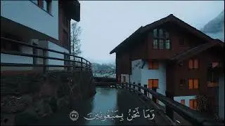 Peaceful Quran recitation for relaxation, sleep, and stress relief.Listen daily and feel calm.