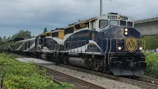 (Nice Driver!) Rocky Mountaineer - 8012 & 8015 In Vancouver BC 