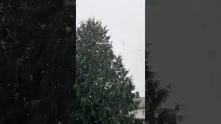 First snow in UK ❄️❄️ #firstsnow #snowfall #snow #beautifulstatus #snowdrop #happy #happymoments