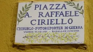 Ginestra foto di ieri