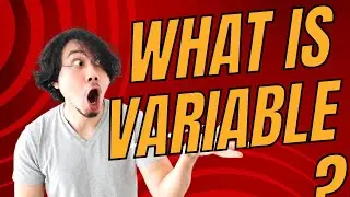 What heck is variable ?