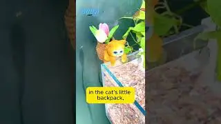 This Cute Cat Transforms Your Fish Tank! 🐱🐠