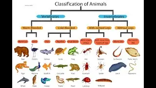Plant Kingdom and Animal Kingdom | English Medium | Full Explanation of Handwritten Notes