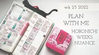 Hobonichi weeks Nuance plan with me | Ferris Wheel Press fountain pen ink in Pink Sugar Beach