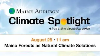 Maine Audubon Climate Spotlight: Forests as Natural Climate Solutions