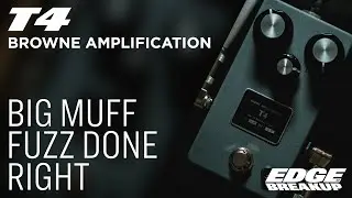 Browne Amplification T4 Fuzz