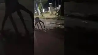 They were chased by the rake..?