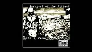 Survival of the Fittest - Burnt Out