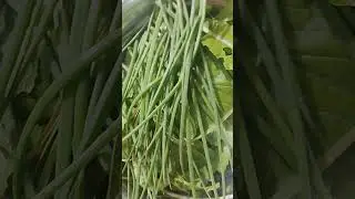 From the kitchen garden ...mustard and spring onion leaves