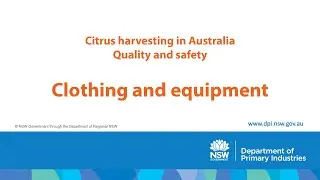 Clothing and equipment &ndash; Citrus harvesting in Australia