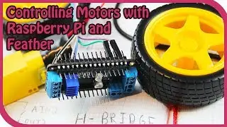 How to control motors from Raspberry Pi with Adafruit DC Motor Controller | Twitter Controlled Robot