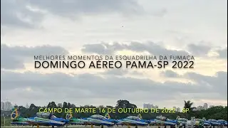 4k Melhores Momentos - Esquadrilha da Fumaça 2022 (Campo de Marte SP)