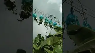 D&uuml;nyaya En &ccedil;ok Muz Satan &Uuml;lke!