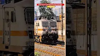 Honking king WAP-7#indianrailways #railway #wap7