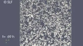 Microstructure analysis of new snow densification