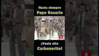 No te olvidaremos, Papo Rosario | Salsa En Vivo | Montuno  #shorts