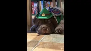 Retro Vault - Ocarina of Time #9