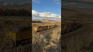 UNION PACIFIC driving Into the sunset #train #railway #tehachapi #trainwatching #unionpacific