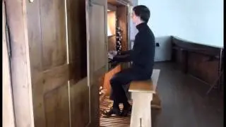 MARTIN GROSS an der historischen Blasius-Schaxel Orgel in Allmannsweier