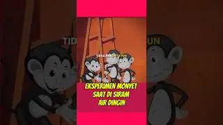 eksperimen monyet dan pisang, apakah yang akan monyet lakukan?