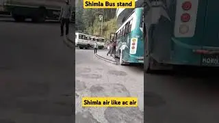 Ctu bus shimla bus stand thandi thandi hawa #ctudriver #ctu #ctuconductor #ctuconductor