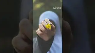 A poisonous flower that can kill you #shorts #facts #factaboutflower