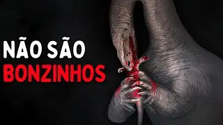 OS DINOSSAUROS HERBÍVOROS NÃO SÃO LEGAIS!