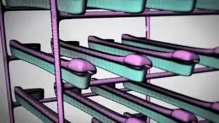 The Evolution of the Rational Man- Technology Through Iteration