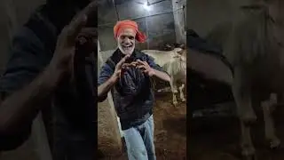 Are O Sambha 😄 | Kailash Style #video #mimicry #sholay #film #acting #shorts #desilifestyle #funny
