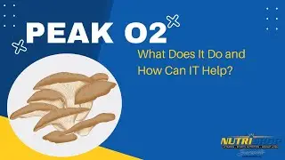 Toby Talks Peak O2 Mushrooms 2024