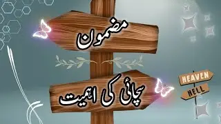 Mazmoon such ki importance in urdu||Essay such ki ahmiyat in urdu@educationforeveryone668
