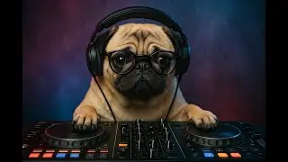 BEST MUSIC 2026 January |DjHotDogss - Neon Ashes | Dark Synthwave, Goth, Post-Punk