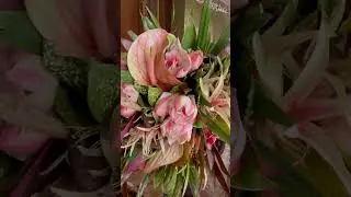 Un peu d&rsquo;exotisme avec ces sublimes amaryllis et anthuriums #flowers #bouquet #janvier2025 #florist