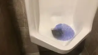 Bathroom Tour: 2 AS Lynbrook Urinals & AS Madera Toilet At Conoco Gas Station
