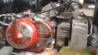 pre-order intake kodok akhir tahun 2020