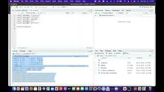 M-FANS: Introduction to NFL Data with R (2022)