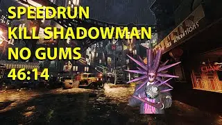 Speedrun Shadows of Evil - Kill Shadowman - No Gums (46:14)