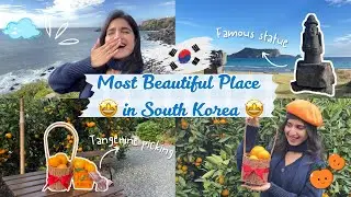 Jeju Vlog⛰️| Ocean view🌊 | Tangerine picking🍊| Cafe aesthetics and more 😍✨