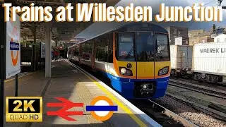 Trains at Willesden Junction (25th October 2025)