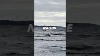 DainotseK Music - Nature's Law  #music #aimusic #musicvideo