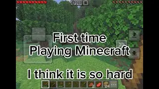 First time playing Minecraft