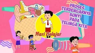 PROSES MENDENGAR PADA TELINGA