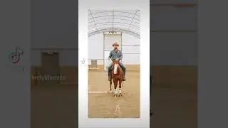 Your struggle and your situation are hardly unique.#REINING #HORSES #HORSETRAINING