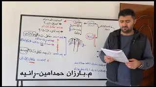زیندەزانی پۆلی١٢ بەندی چوارەم : کەرتی دووەم دەمارەکۆئەندام/ بەشەکانی دەماخ  م.بارزان حمدامین - ڕانیە