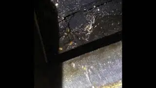 Small fly breeding areas in food service