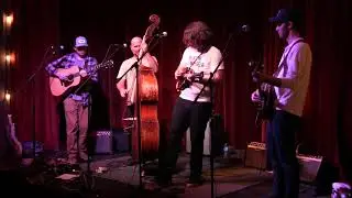 THE WOOKS--DEAR PRUDENCE