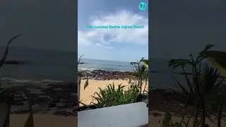 3 Places That Will Give You Greece Vibes In Goa | Curly Tales #shorts