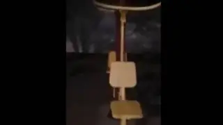 Ejemplos de Bugs Relidad Simulda