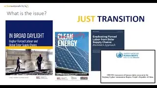 Briefing: International Responsible Sourcing Guidance for Solar Panels