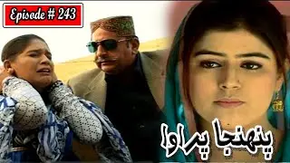 Pahinja Parawa Episode 243 Sindhi Drama | Sindhi Dramas 2022